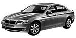 BMW F10 P316D Fault Code